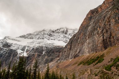 Edith Cavell Dağı, Jasper Ulusal Parkı