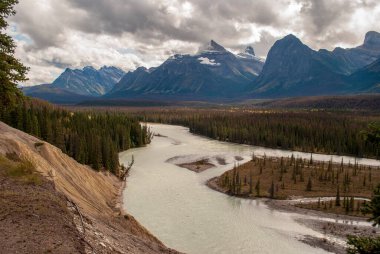 Keçiler ve Buzul Gözcüleri, Buz Tarlaları Parkway, Jasper