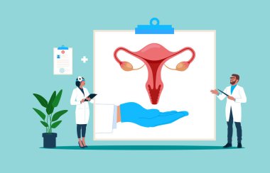 Kadınların üreme sisteminin modeliyim. Modern vektör illüstrasyonu. 