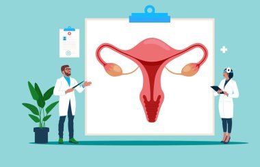 Kadınların üreme sisteminin modeliyim. Modern vektör illüstrasyonu.