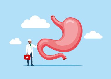 Doktorun elinde kocaman bir tabela var, mide ikonu. İnsan iç organları sembolü. Sindirim sistemi anatomisi. Sağlık sigortası. Gastroenteroloji, tıp ve biyoloji için tasarım ögesi.