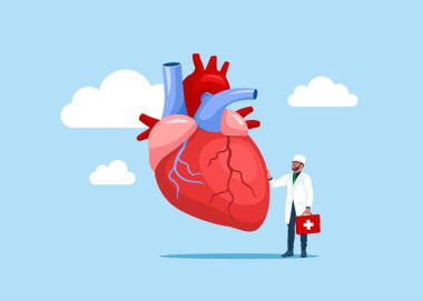 Doktorun elinde büyük bir işaret var, İnsan Kalbi. İnsan kalbi anatomisi. Organlar sembolü. Tıp Tasarım Arkaplanı. Düz vektör illüstrasyonu.