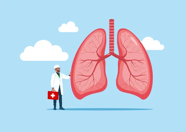 専門家は大きな兆候を保持しています 人間の肺 呼吸器系 臓器検査で病気の有無を確認します 解剖学医学の概念 ヘルスケア ベクターイラスト — ストックベクタ