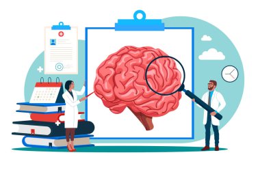 İnsan beyninin bu fırsatları açıklamasıdır. Beyin sapı ve beyincik, anatomi ve nöroloji çalışmak için. Düz vektör illüstrasyonu