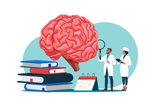 Seminar, lecture, healthcare meeting concept. Brainstem and cerebellum to study anatomy, neurology. Flat vector illustration