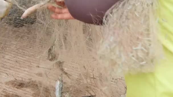 Balıkçılar Balıkların Ağdan Kurtulmasına Yardım Ettiler Tayland Kırsal Kesimlerinde Mayıs — Stok video