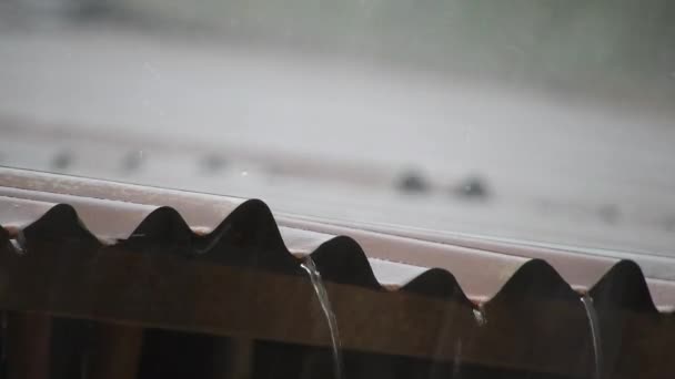 Deszcz Starym Blaszanym Dachu Deszcz Wsi Noszenie Starego Cynku Wygląda — Wideo stockowe