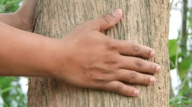 Antik ağacın yanından geçerken, elimi uzatma dürtüsüne karşı koyamadım ve elimi kabuğunda nazikçe gezdirdim, rahatlatıcı dokusunu hissettim ve sahip olduğu sonsuz bilgeliğe bağlandım.