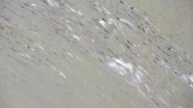 Su, suyun yumuşak sesi ve kuşların güzel ötüşü ile beton vadide akıyor. Doğanın güzelliğiyle dolu barışçıl bir atmosfer yarat. Yaklaş. yavaş çekim