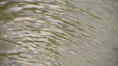 Su, suyun yumuşak sesi ve kuşların güzel ötüşü ile beton vadide akıyor. Doğanın güzelliğiyle dolu barışçıl bir atmosfer yarat. Yaklaş. yavaş çekim