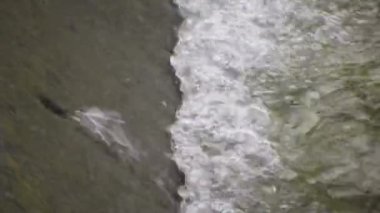 Su, suyun yumuşak sesi ve kuşların güzel ötüşü ile beton vadide akıyor. Doğanın güzelliğiyle dolu barışçıl bir atmosfer yarat. Yaklaş. yavaş çekim