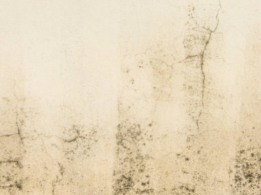 Çatlak yüzey, rutubet ve ihmalin etkilerini ortaya çıkaran küf varlığıyla gölgeleniyor. Çatlaklardan oluşan karmaşık ağ sıkıntılı ve yıpranmış bir görünüm yaratıyor..