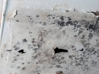  Küf büyümesinin altında yatan nedenleri ele almak ve tavanın temizliği ve bütünlüğünü geri getirmek, güvenli ve hijyenik bir yaşam ya da çalışma ortamı için öncelik haline geldi. Tavan kalıbı