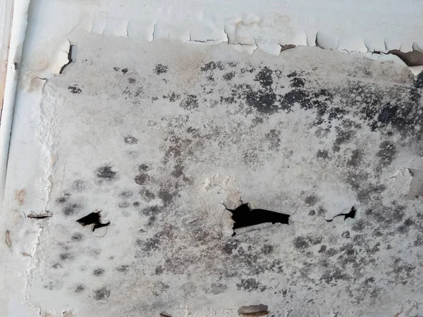  Küf büyümesinin altında yatan nedenleri ele almak ve tavanın temizliği ve bütünlüğünü geri getirmek, güvenli ve hijyenik bir yaşam ya da çalışma ortamı için öncelik haline geldi. Tavan kalıbı