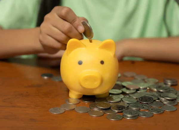 A piggy bank is a device that keeps money or savings in a safe place. And help accumulate money for various purposes such as education, travel or investment in the future . Coins.Savings Bank.close up