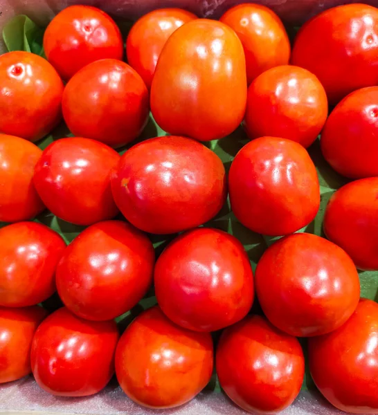 番茄是一种多才多艺的水果 从新鲜的色拉到美味的意大利面酱汁 它给无数的菜肴增添了新鲜的风味 生机勃勃的红色多汁质感使受欢迎的选择成为烹饪美学的双重目的 — 图库照片