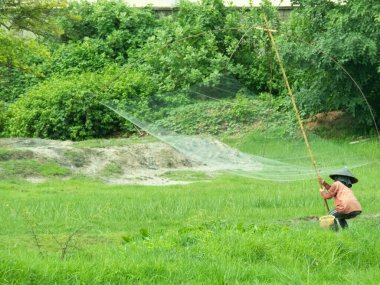 Köylüler sakin kırsal kesimde balık avına dalmışken kendilerini adamış bir gözcü gibi itaatkar bir grup inek bulmaktan memnuniyet duyuyorlardı. Kapatın.
