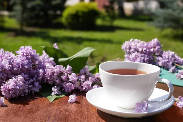 Képeslap Gyönyörű Egy Csésze Fehér Tea Egy Csokor Lila Orgona — Stock Fotó
