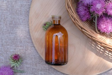 Buds tıbbi yabani bitkiler dulavrat otu ve burdocks tıbbi tentür. Üst görünüm, düz görünüm, metin için alanı kopyala.