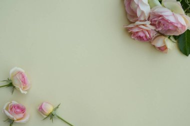 Çiçek bileşimi arka plan. Bej arka planda güzel açık pembe güller. Üst manzara, kopyalama alanı. Düz yatış, çiçek kartı. Tatil çiçekleri konsepti.