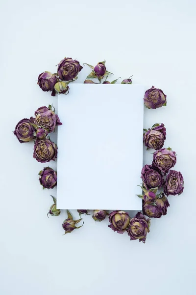 Autumn pattern made of dried rose flowers, top view, flat lay. Autumn composition. Paper blank, dried rose flowers and buds on white background. Autumn, fall concept.