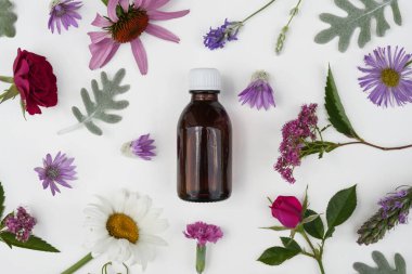 Bir şişe biberiye, kekik, papatya, ekinezya, kış mevsimi, lavanta, gül, beyaz bir arka planda mira. Üst manzara, düz uzanma.