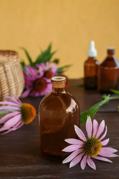Echinacea Medicinal Extract Excellent Means Maintaining Immunity Concrept Herbal Homeopathy — Stock Photo, Image