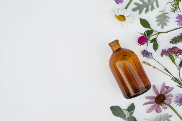 Eine Flasche Ätherisches Mit Rosmarin Thymian Kamille Echinacea Überwinterung Lavendel Stockbild