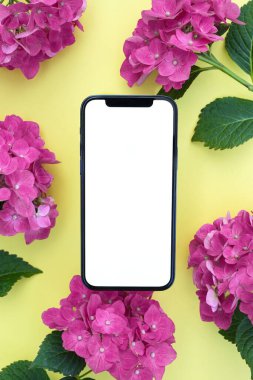 Dijital davet, tasarım, sunum, pembe ortanca çiçekleri için boş telefon ekran modeli elektronik kart için akıllı telefon şablonu. - Evet. Üst görünüm, metin ve ürün yeri için boşluk kopyala.