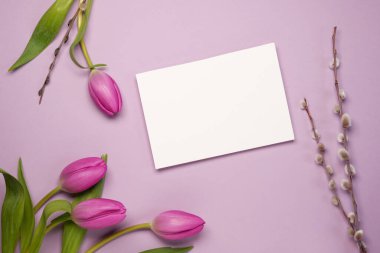  Women's Day concept. Top view photo of white blank pink tulips pussy willow branches on light pink background with empty space. Flat lay, top view. Space for text.