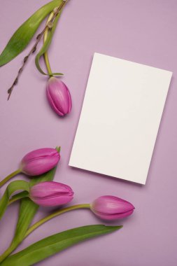 Easter composition with goat willow, pussy willow, blank paper sheet mockup, pink tulips on perple background.Top view. Place for your text.