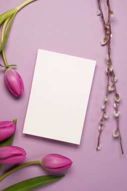 Easter composition with goat willow, pussy willow, blank paper sheet mockup, pink tulips on perple background.Top view. Place for your text.