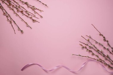  Spring pussy willow brancheswith ribbon on a pastel light pink background. Concept of springtime, copy space. Top view, flat lay.