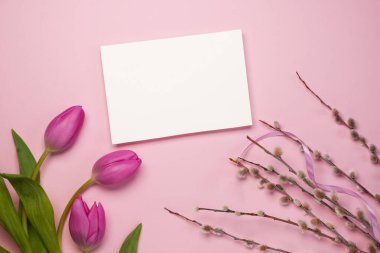 Women's Day concept. Top view photo of white blank pink tulips pussy willow branches on light pink background with empty space. Flat lay, top view. Space for text.