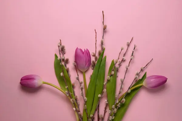 Mother\'s Day or International Womens-day concept. Top view of fresh tulips and pussy willow branches on pink background. Flat lay.