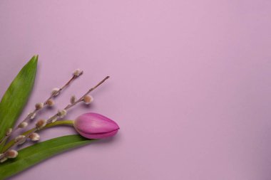 Mother's Day concept. Top view photo of pink tulips and pussy-willow branches on light pink backround. Flat lay. Space for text.