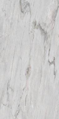 İç döşeme için kullanılan İtalyan açık gri mermeri, yüksek kalitede banyo tasarımı. 