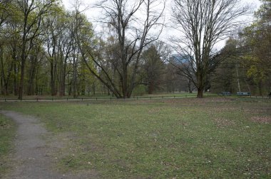 Berlin, Almanya - 18 Nisan 2023: Tiergarten, Berlin. Yüksek kalite fotoğraf