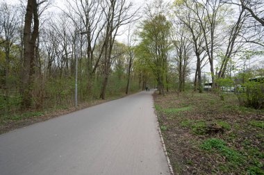 Berlin, Almanya - 18 Nisan 2023: Tiergarten, Berlin. Yüksek kalite fotoğraf