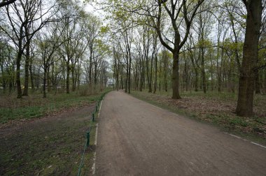 Berlin, Almanya - 18 Nisan 2023: Tiergarten, Berlin. Yüksek kalite fotoğraf