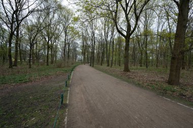 Berlin, Almanya - 18 Nisan 2023: Tiergarten, Berlin. Yüksek kalite fotoğraf