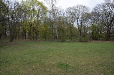 Berlin, Almanya - 18 Nisan 2023: Tiergarten, Berlin. Yüksek kalite fotoğraf