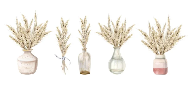 Букети Пшениці Акварелі Скляних Керамічних Вазах Ілюстрація Набору Ізольована Білому — стокове фото