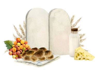 Suluboya Shavuot taş tabletleri tebrik kartı şablonu içinde bayram yemeği, peynir, kalamar ekmeği ve süt var. Buğday, üzüm. Beyaz arkaplanda el çizimi resimleme ortamı izole edildi.