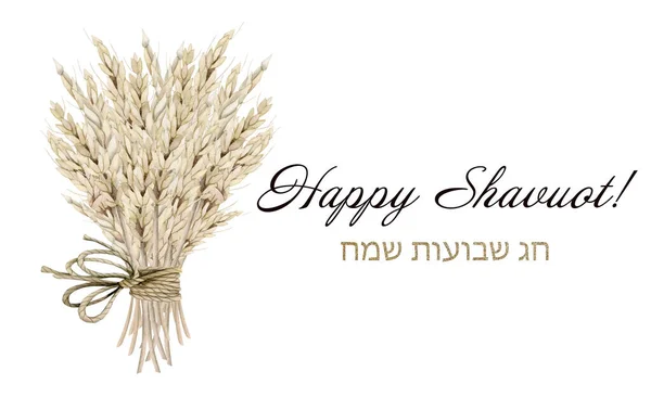 水彩ハッピーShavuot白い背景に隔離されたヘブライ語チャグSameachイラストとグリーティングバナー 農村小麦の耳の花束でロープ三弓でパステルベージュ色のユダヤ人の休日 — ストック写真