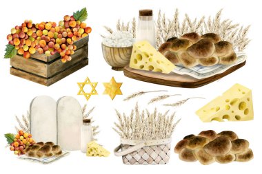 Shavuot sembolleri beyaza izole edilmiş. El yapımı kompozisyonlar ve Challah ekmeği, süt, peynir, üzüm ve buğday. Tatil taşı tabletleri David 'in yıldızlarını tasvir eder.
