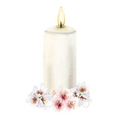 Romantik ve rahatlatıcı, beyaz arka planda izole edilmiş pembe kiraz çiçekleri olan yanan bir mum. Suluboya spa tarih tasarımı