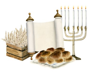 Yahudi bayramı için suluboya Shavuot kırsal tebrik kartı şablonu. Tahta buğday hasadı, Tevrat parşömeni, tebeşir ekmeği ve menorayla birlikte. El çizimi resimleme ortamı beyaza izole edildi.