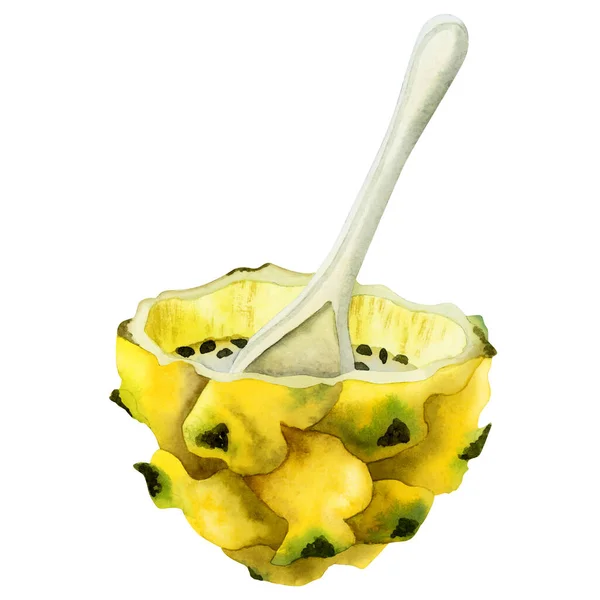 Yellow Dragon Fruit Half Dessert Spoon Watercolor Illustration Tropical Asian — Stock Photo, Image
