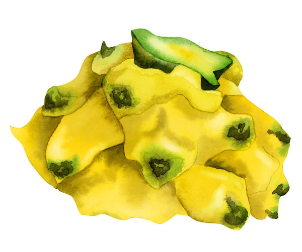 Acuarela Amarillo Dragón Fruta Mitad Superior Ilustración Tropical Asian Pitahaya — Foto de Stock
